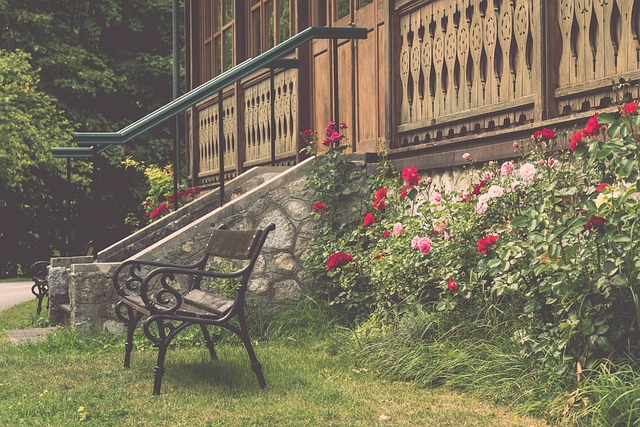 球向世界展 球向世界展