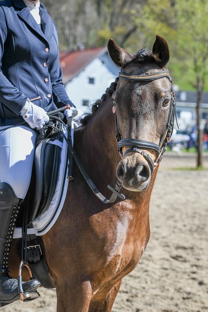 未来潜力的 未来潜力的