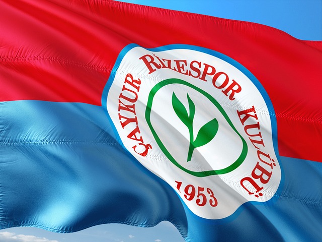 一个成功的 一个成功的