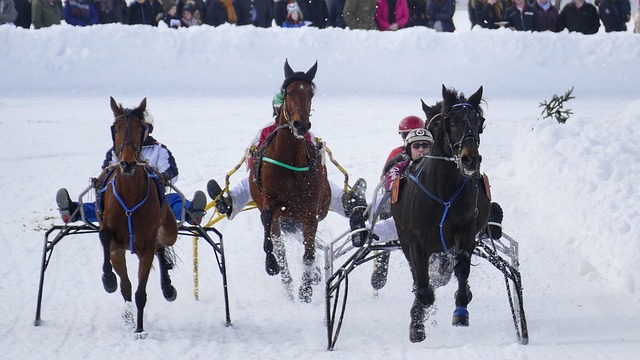 的提高进一 的提高进一